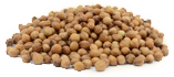 CORIANDER SEEDS