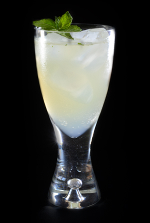 Gin Gin Mule