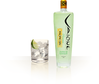 VAIONE GIN